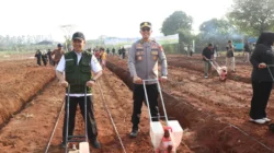 Lahan Tidur Disulap Jadi Sentra Jagung, Festival Jagung Nusantara 2026 Digelar di Tangerang