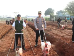 Lahan Tidur Disulap Jadi Sentra Jagung, Festival Jagung Nusantara 2026 Digelar di Tangerang