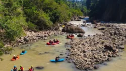 Dari Hutan Halimun Salak, Elpala Menjaga Warisan Alam Indonesia