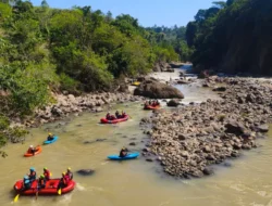 Dari Hutan Halimun Salak, Elpala Menjaga Warisan Alam Indonesia