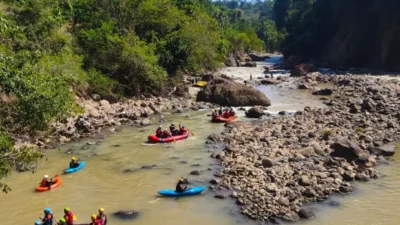 Dari Hutan Halimun Salak, Elpala Menjaga Warisan Alam Indonesia