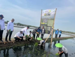 Dari Padi Biosalin ke Minapadi Salin, PGN dan BRIN Dorong Nilai Ekonomi Lahan Pesisir Batang