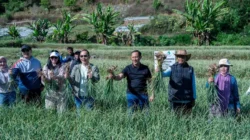 Satgas Pangan Polri Perkuat Swasembada Bawang Putih, Lahan Tanam di Sembalun Capai 534 Hektare