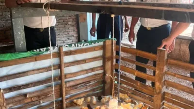 Lapas Makassar Perkuat Pembinaan Kemandirian Melalui Chick In 306 Ekor Bibit Ayam DOC