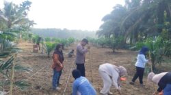 Perkuat Ketahanan Pangan dan Dukung Asta Cita Presiden, Polres Kuansing Bersama Masyarakat Tanam Jagung Pipil di Desa Tanjung