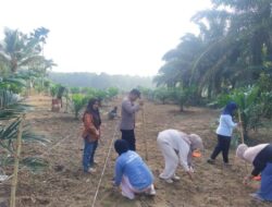 Perkuat Ketahanan Pangan dan Dukung Asta Cita Presiden, Polres Kuansing Bersama Masyarakat Tanam Jagung Pipil di Desa Tanjung