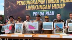 BKSDA Apresias Polda Riau Ungkap Perusakan Mangrove di Rohil