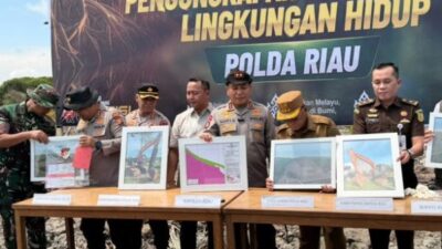 Geram Lihat Mangrove Dirusak, Kapolda Riau: Ini Benteng Masyarakat Pesisir, Tempat Satwa Berkembang Biak!