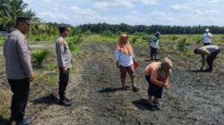 Kapolsek Kandis Tinjau Lahan Ketahanan Pangan, Beri Semangat Petani, Tingkatkan Produksi