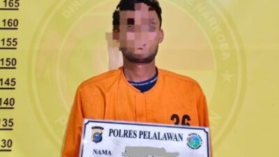 Satresnarkoba Polres Pelalawan Gerebek Rumah di Pangkalan Kerinci, 58 Paket Ganja Siap Edar Diamankan