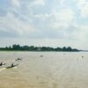 Pelalawan Boat Racing 2026 Gaungkan Pesona Sungai Kampar di Desa Wisata Kuala Terusan