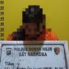 Tangkap Pengedar Sabu, Satresnarkoba Polres Rohil Amankan Barang Bukti 11,17 Gram
