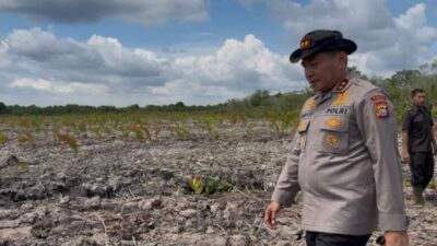 Kapolda Riau Datangi Lokasi Perusakan Mangrove Seluas 118 Hektare di Rohil, 2 Pelaku Ditangkap