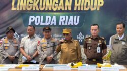 Bupati Rohil Apresiasi Polda Riau Ungkap Perusakan Mangrove, Imbau Masyarakat Tak Lagi Merusak Hutan