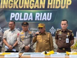 Bupati Rohil Apresiasi Polda Riau Ungkap Perusakan Mangrove, Imbau Masyarakat Tak Lagi Merusak Hutan