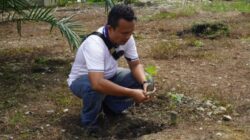 Manfaatkan Lahan Idle, Lapas Narkotika Langkat Wujudkan Ketahanan Pangan Lewat Budidaya Hortikultura Pepaya California