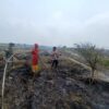 287 Personel Gabungan Kejar Pemadaman Karhutla Pelalawan