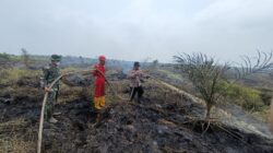 287 Personel Gabungan Kejar Pemadaman Karhutla Pelalawan