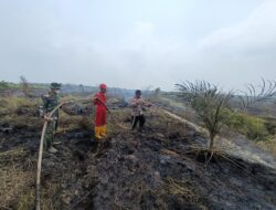 287 Personel Gabungan Kejar Pemadaman Karhutla Pelalawan