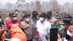 Menteri LHK Pastikan Sekat Kanal di Lahan Gambut Riau Berfungsi