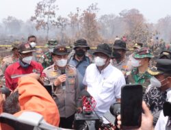 Menteri LHK Pastikan Sekat Kanal di Lahan Gambut Riau Berfungsi