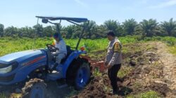 Polsek Kandis Kawal Pengolahan Lahan Jagung Kuartal III, Dukung Swasembada Pangan Nasional