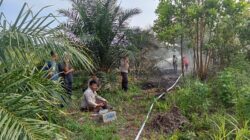 Respon Cepat Kebakaran Rimbo Panjang: Tim Gabungan Lakukan Pendinginan & Blokade Lahan