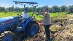 Polsek Kandis Kolaborasi Merawat Tanaman, Kembangkan Pertanian Produktif untuk Ketahanan Pangan