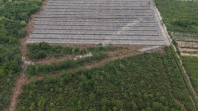 Polisi Tetapkan Penghulu Jadi Tersangka Dugaan Perusakan Hutan Mangrove di Rohil