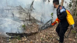 Brimob Polda Jambi Gerak Cepat Padamkan Karhutla di Kabupaten Tebo
