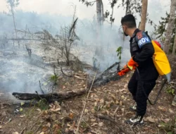 Brimob Polda Jambi Gerak Cepat Padamkan Karhutla di Kabupaten Tebo