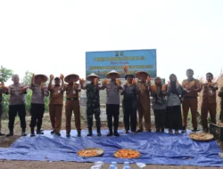 Polres Metro Tangerang Kota Panen Jagung di Batuceper, Dukung Swasembada Pangan