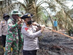 Cegah Karhutla Meluas, Wakapolda Riau dan Irdam XIX/TT Turun Langsung Padamkan Api di Pasir Limau Kapas