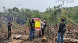 Ditinggal Makan, Api Membesar dan Hanguskan Kebun Karet, Pria Asal Air Molek Jadi Tersangka