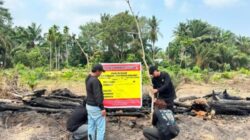 Gara-gara Usir Nyamuk, Seorang Pensiunan di Inhu Bakar Lahan dan Hanguskan Kebun Sawit