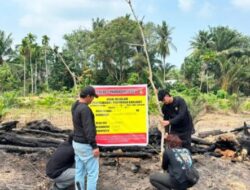 Gara-gara Usir Nyamuk, Seorang Pensiunan di Inhu Bakar Lahan dan Hanguskan Kebun Sawit
