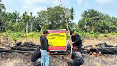 Gara-gara Usir Nyamuk, Seorang Pensiunan di Inhu Bakar Lahan dan Hanguskan Kebun Sawit