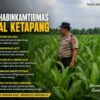 Bukan Sekadar Hadir, Ini Cara Bhabinkamtibmas Polsek Kandis Kawal Ketahanan Pangan