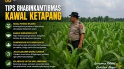 Bukan Sekadar Hadir, Ini Cara Bhabinkamtibmas Polsek Kandis Kawal Ketahanan Pangan