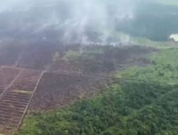 Patroli Udara Kapolda Riau Fokus ke Pangkalan Kerinci, Satu Hotspot Masih Terdeteksi
