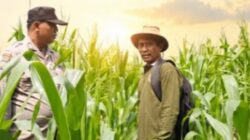 Polsek Kandis Maju Bersama Petani, Membangun Fondasi Swasembada Pangan