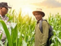 Polsek Kandis Maju Bersama Petani, Membangun Fondasi Swasembada Pangan