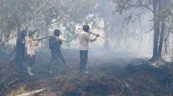 Bersama Tim, Kapolres Inhu Berjibaku Lakukan Pemadaman dan Pendinginan Karhutla di Tanah Sitaan Negara