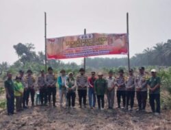Kembangkan Ketahanan Pangan, Polsek Kandis Tanam Jagung Kuartal lll di Kampung Jambai Makmur