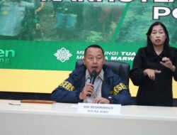 904 Hektare Lahan Terbakar, 37 Perkara Karhutla di Riau Dibongkar Polda