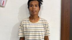 Buang Puntung Rokok Sembarangan Picu Kebakaran 5 H Kebun, Pelangsir Sawit Dibekuk Polisi