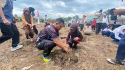 Sinergi Polri dan Masyarakat, Polsek Medang Kampai Gelar Tanam Jagung Dukung Ketahanan Pangan