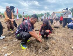 Sinergi Polri dan Masyarakat, Polsek Medang Kampai Gelar Tanam Jagung Dukung Ketahanan Pangan