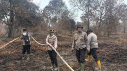Karhutla di Sekitar Taman Nasional Zamrud Riau Dipadamkan, 30 Hektare Lahan Terdampak