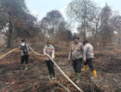 Karhutla di Sekitar Taman Nasional Zamrud Riau Dipadamkan, 30 Hektare Lahan Terdampak
